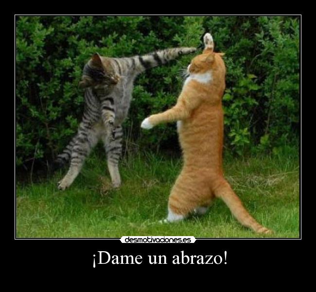¡Dame un abrazo! -