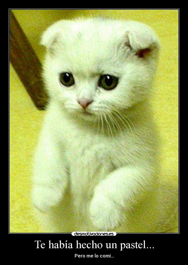 Te había hecho un pastel... - Pero me lo comí...