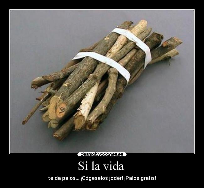 Si la vida  - te da palos... ¡Cógeselos joder! ¡Palos gratis!