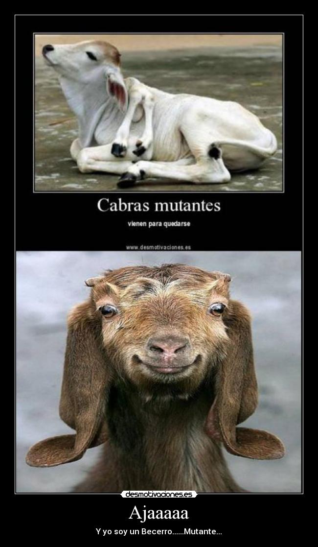 Ajaaaaa - Y yo soy un Becerro......Mutante...