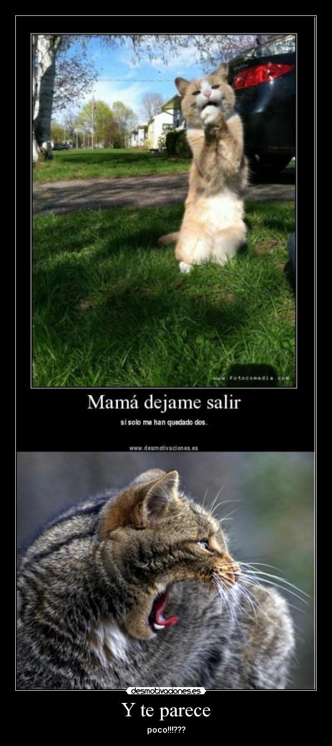 Y te parece - poco!!!???