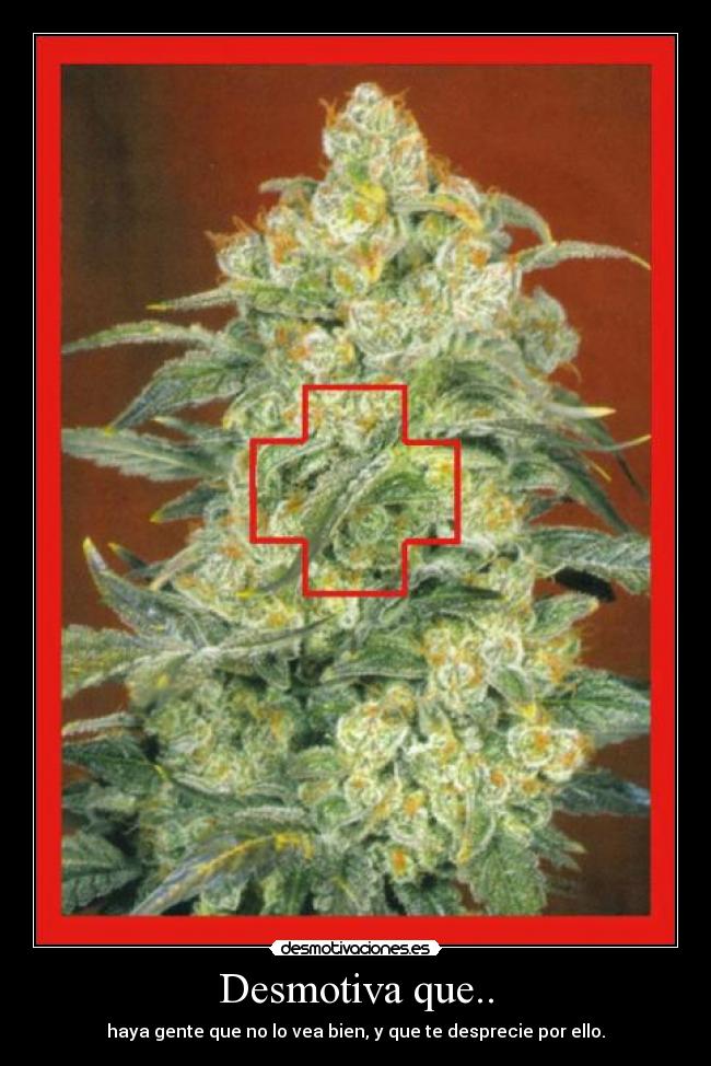 Desmotiva que.. - haya gente que no lo vea bien, y que te desprecie por ello.