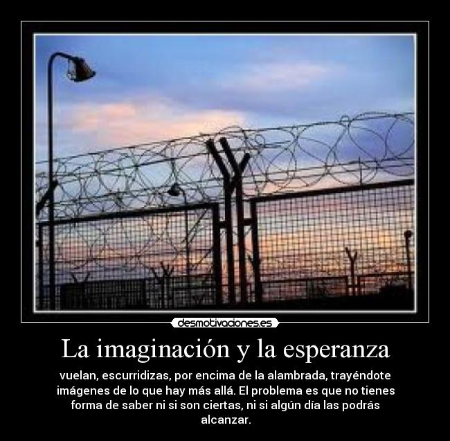 La imaginación y la esperanza -