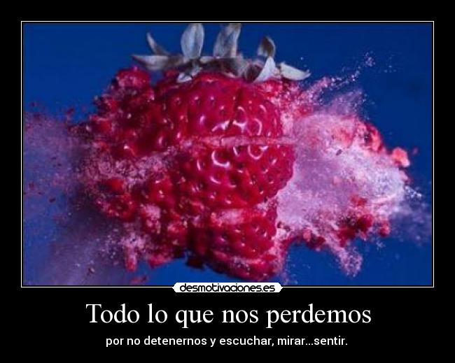 carteles todo que nos perdemos desmotivaciones