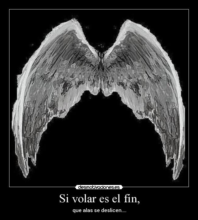 Si volar es el fin, - que alas se deslicen....