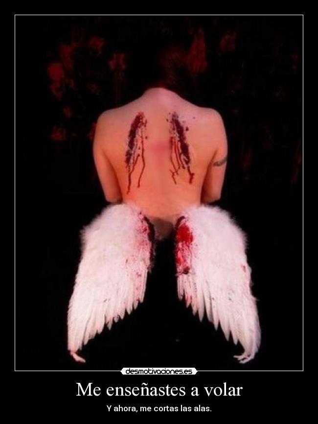 Me enseñastes a volar - Y ahora, me cortas las alas.