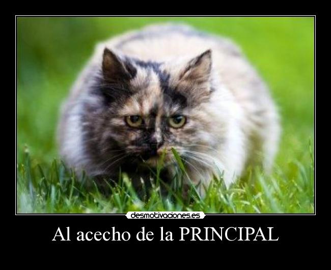 carteles wwwdesmotivacioneses desmotivaciones