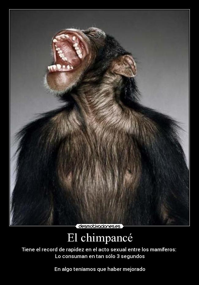 carteles chimpance desmotivaciones