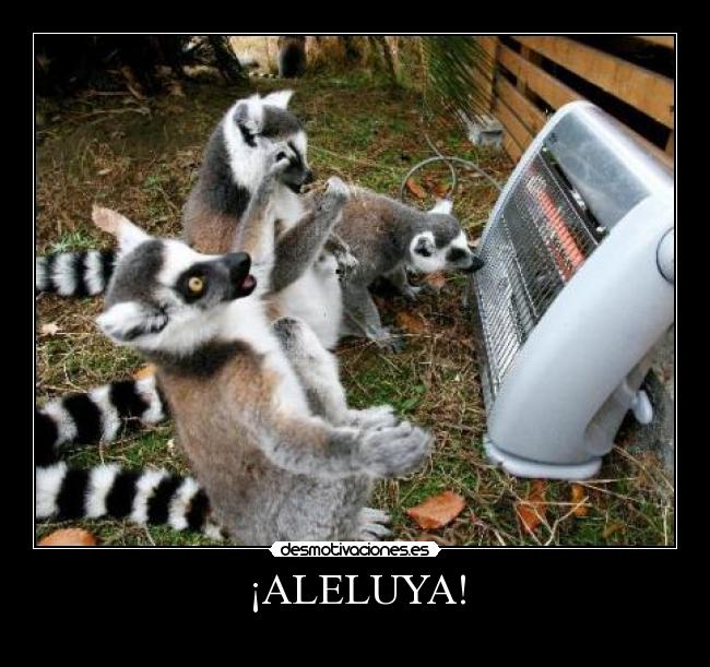 ¡ALELUYA! -