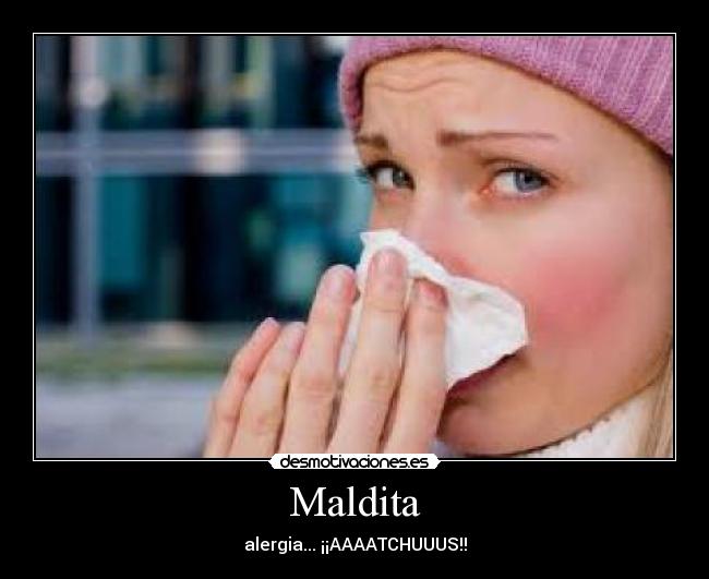 Maldita - alergia... ¡¡AAAATCHUUUS!!