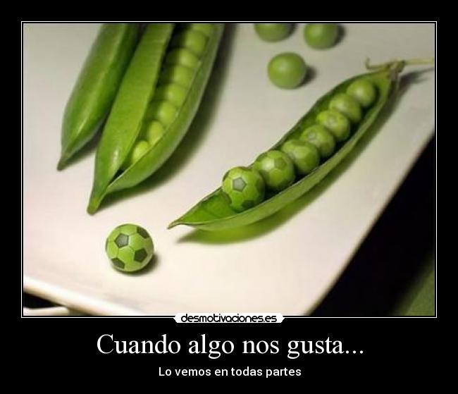 Cuando algo nos gusta... -