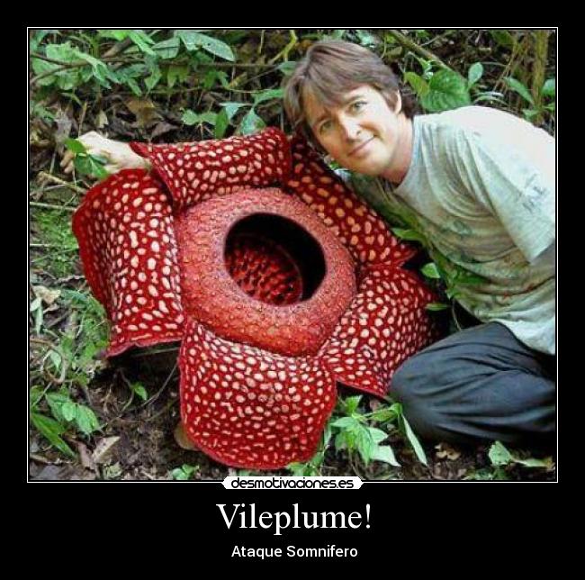 Vileplume! - 
