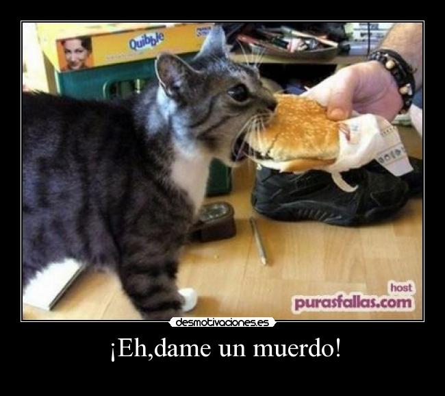 carteles desmotivaciones