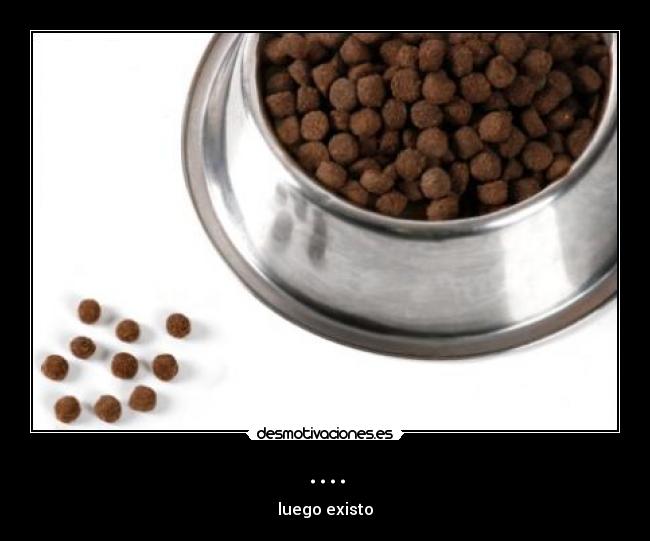 .... - luego existo