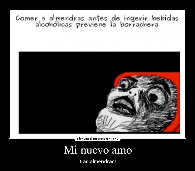 Mi nuevo amo - Las almendras!