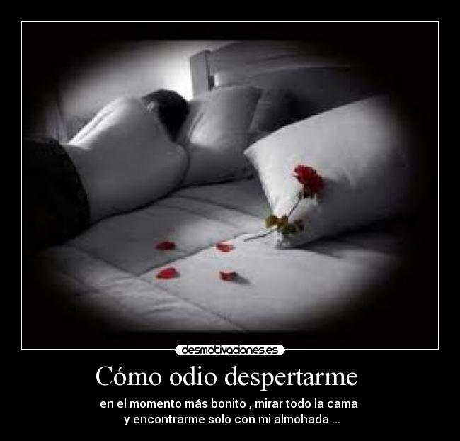 Cómo odio despertarme  - en el momento más bonito , mirar todo la cama 
 y encontrarme solo con mi almohada ...