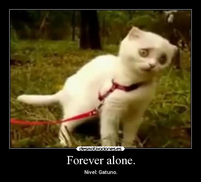 Forever alone. - 