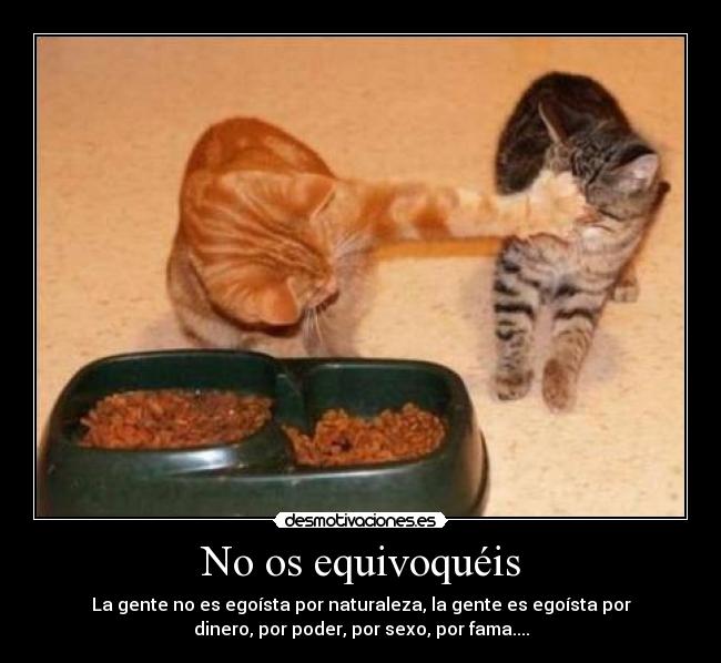 No os equivoquéis -