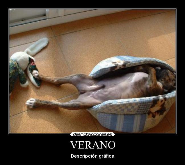 VERANO - Descripción gráfica