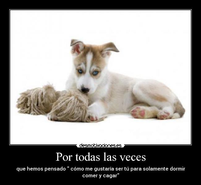 Por todas las veces - 