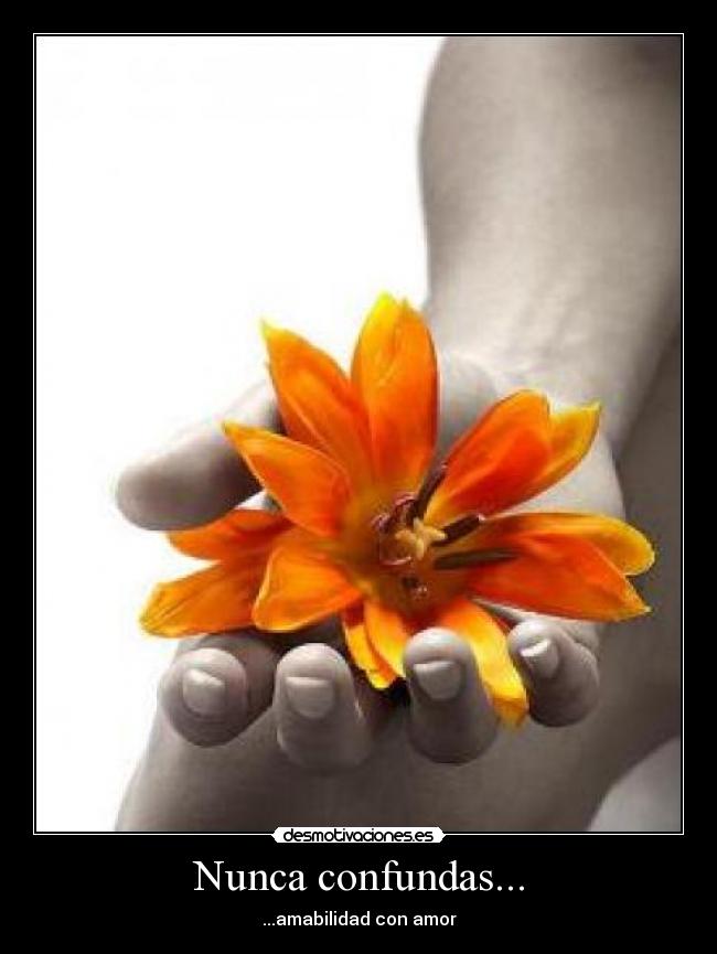 Nunca confundas... - 