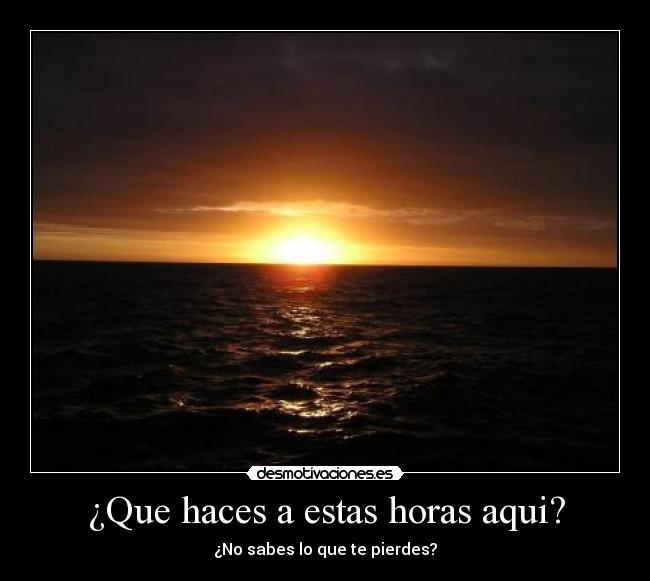 carteles amanecer desmotivaciones