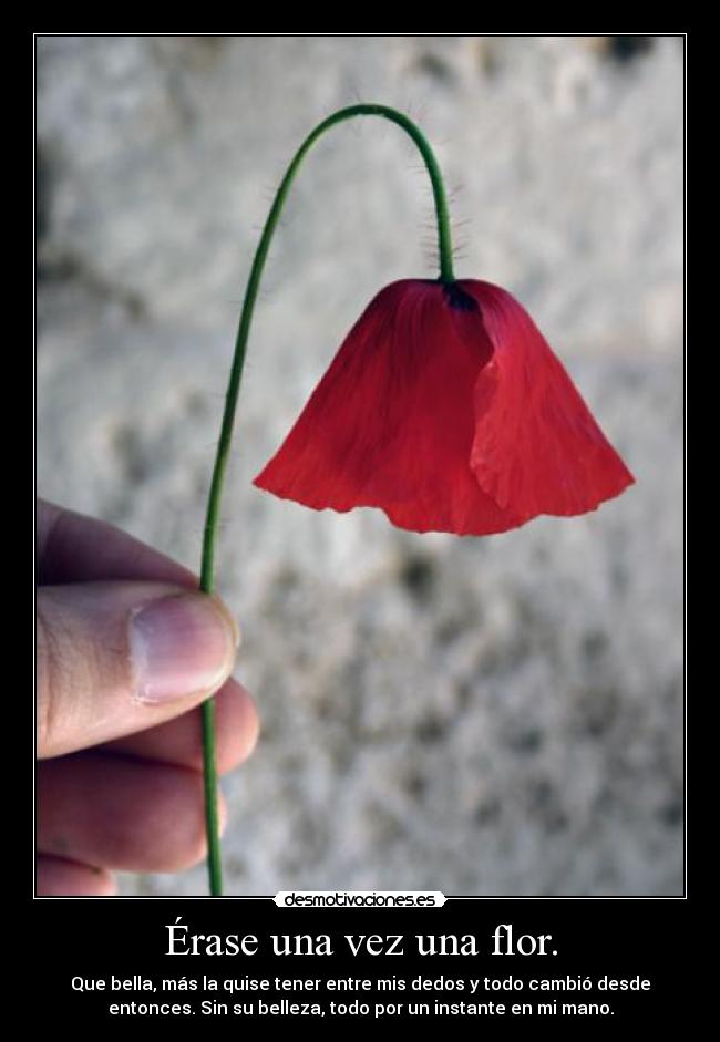 carteles amor similas las flores desmotivaciones