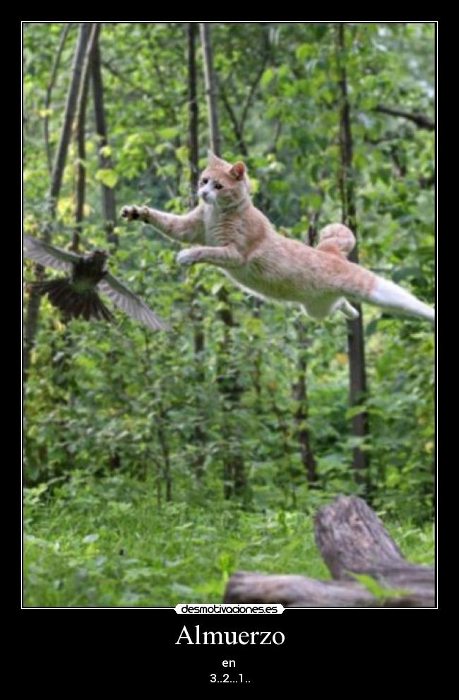 Almuerzo - en 
3..2...1..