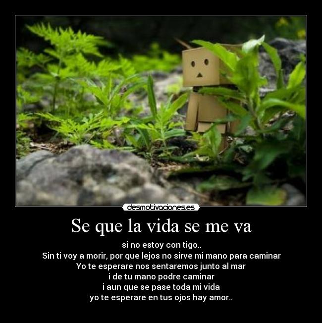 Se que la vida se me va - si no estoy con tigo..
Sin ti voy a morir, por que lejos no sirve mi mano para caminar
Yo te esperare nos sentaremos junto al mar
i de tu mano podre caminar
i aun que se pase toda mi vida
yo te esperare en tus ojos hay amor..