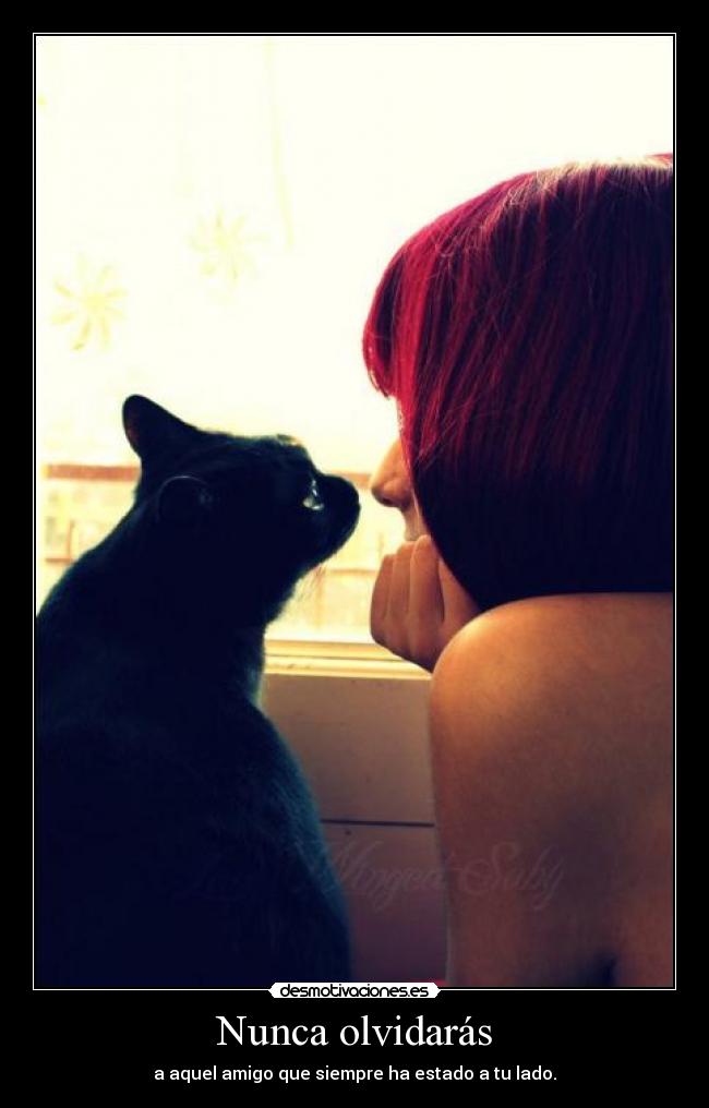 Nunca olvidarás - 
