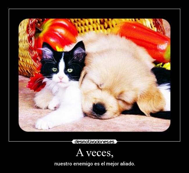 A veces, - nuestro enemigo es el mejor aliado.