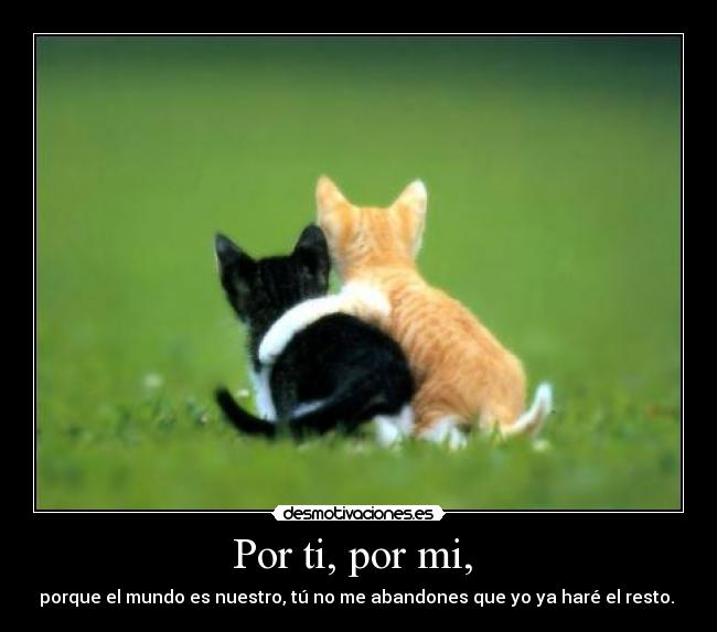 Por ti, por mi,  - 