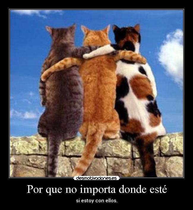 Por que no importa donde esté -