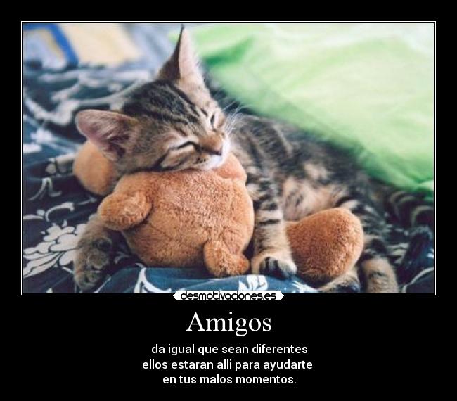 Amigos - da igual que sean diferentes
ellos estaran alli para ayudarte
en tus malos momentos.