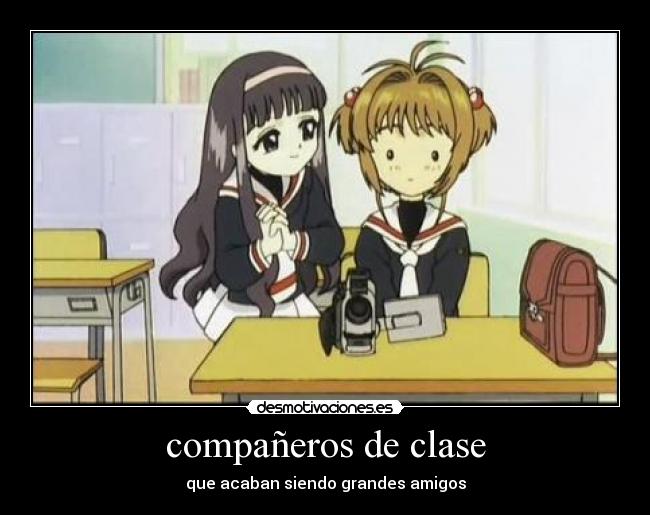 compañeros de clase -