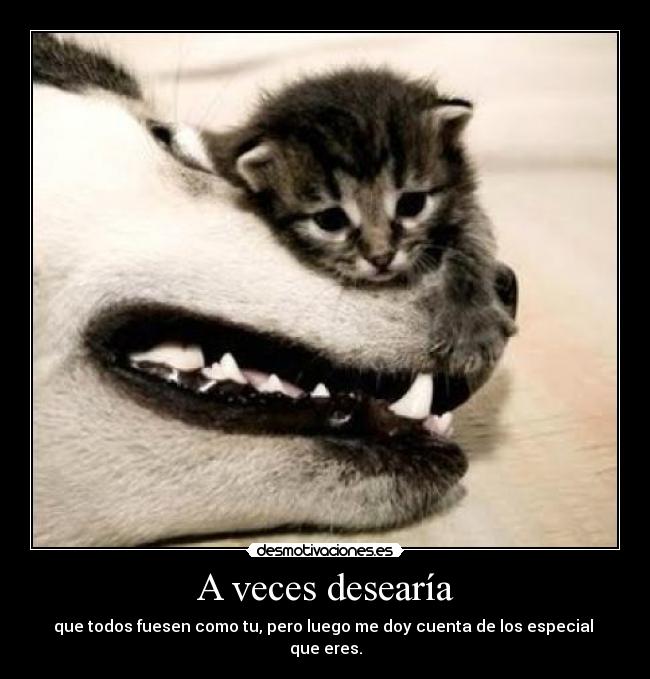 A veces desearía - que todos fuesen como tu, pero luego me doy cuenta de los especial
que eres.