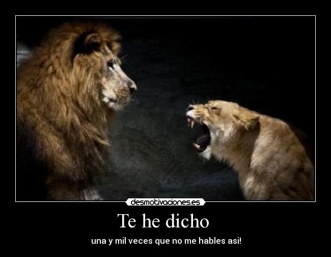 carteles dicho que hables asi desmotivaciones