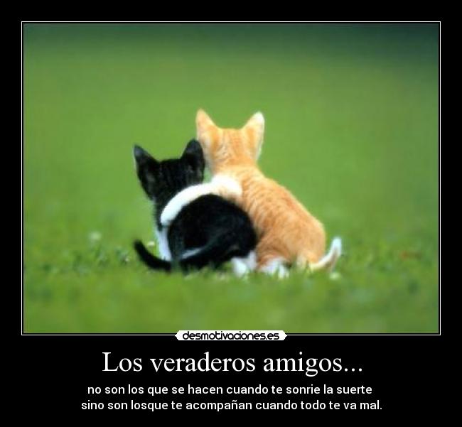 Los veraderos amigos... - no son los que se hacen cuando te sonrie la suerte
sino son losque te acompañan cuando todo te va mal.