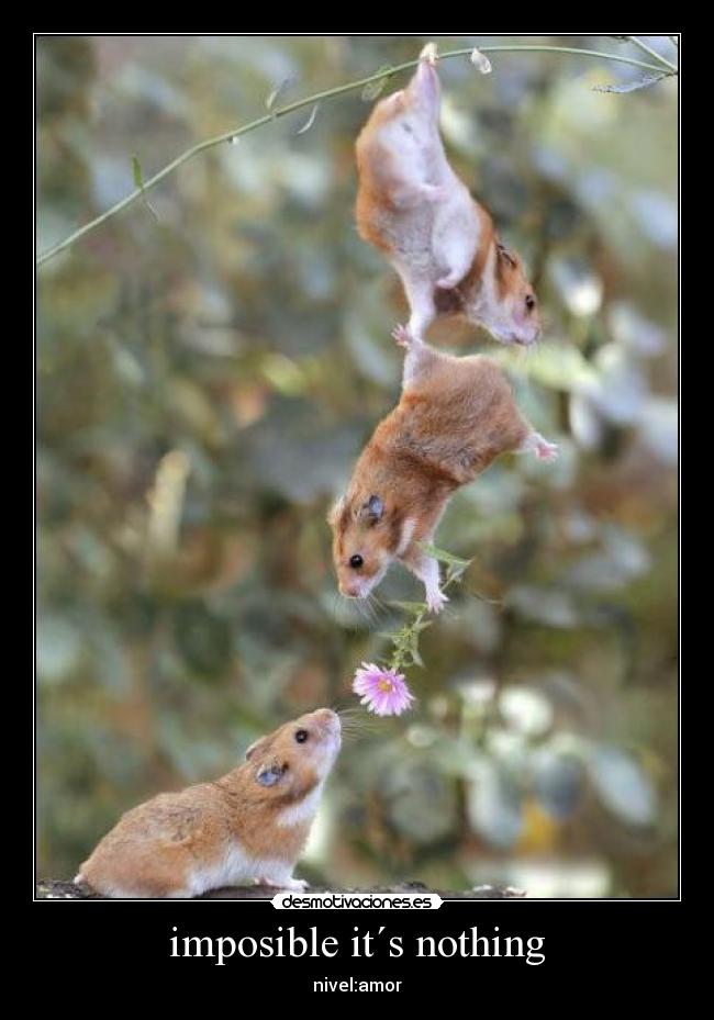 imposible it´s nothing -