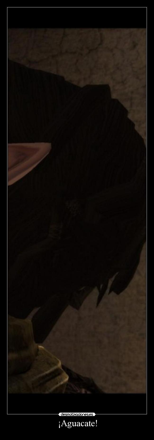 ¡Aguacate! -