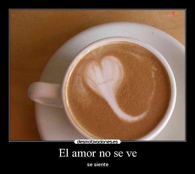 El amor no se ve - se siente