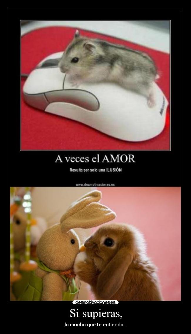 Si supieras, - lo mucho que te entiendo...