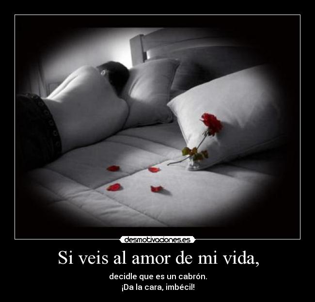 carteles amor vida amoor desmotivaciones