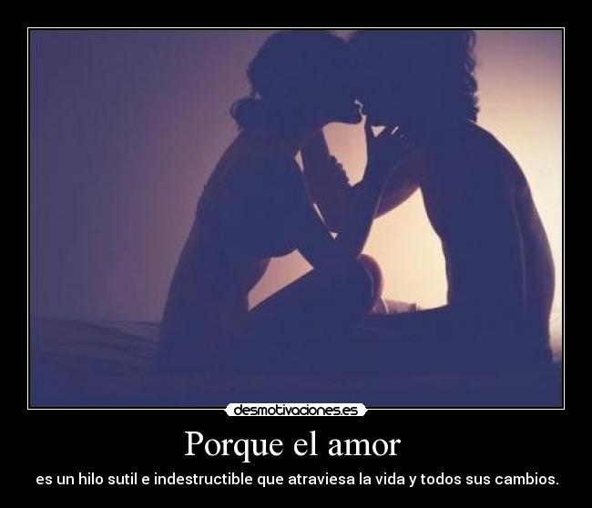 Porque el amor  - 