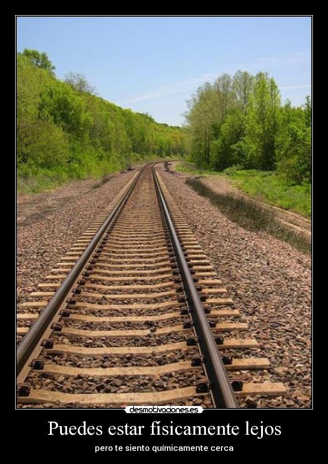 Puedes estar físicamente lejos - pero te siento químicamente cerca