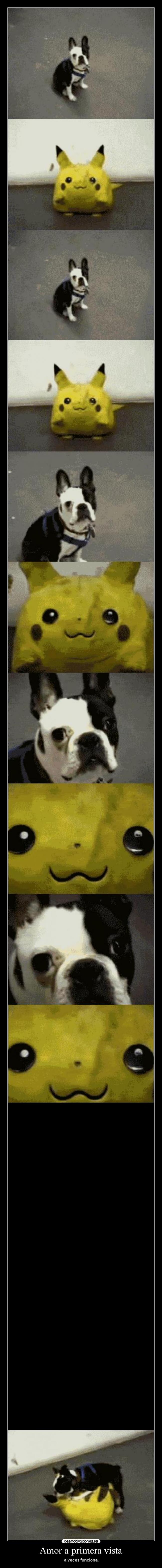 Amor a primera vista - a veces funciona.