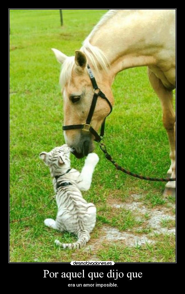 Por aquel que dijo que -