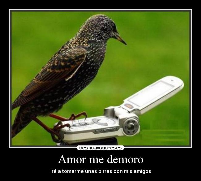 Amor me demoro - iré a tomarme unas birras con mis amigos
