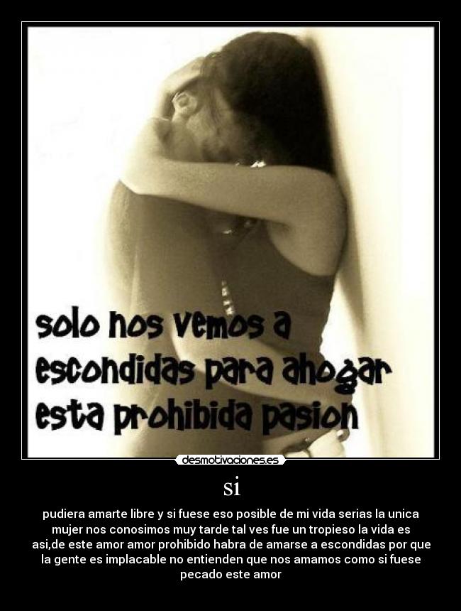 carteles amor prohibido desmotivaciones