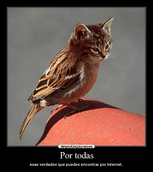 Por todas - esas verdades que puedes encontrar por Internet.